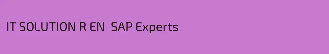 IT SOLUTION R EN  SAP Experts